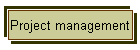 Project management